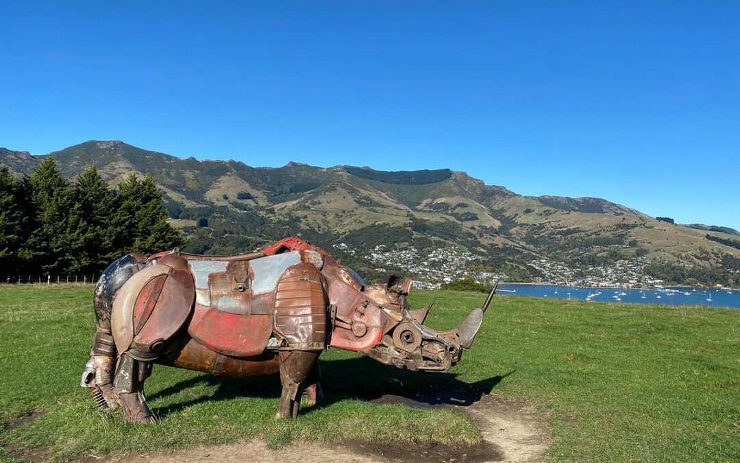 Rhino Walk